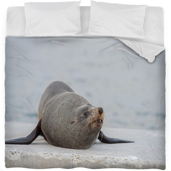 Australia Fur Seal Close Up Portrait Fleece Bed Blanket