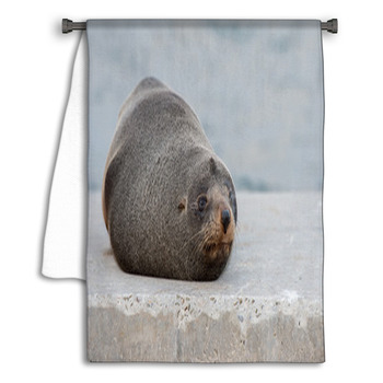 Australia Fur Seal Close Up Portrait Towel