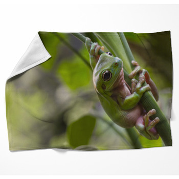Australian Green Tree Frog Woven Throw Blanket