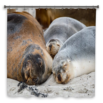 Australian Sea Lion Relaxing Custom Size Shower Curtain