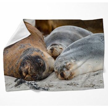 Australian Sea Lion Relaxing On The Woven Throw Blanket