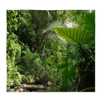 WOZO Tropical Rainforest Jungle Area Rug Rugs Non-Slip Floor Mat Doormats Living Dining Room Bedroom Dorm 31 x 20 inches Home Decor 