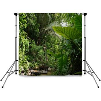AUSTRALIEN - RAINFOREST Pole Pocket Backdrop