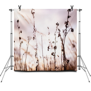 Autumn Dry Wild Grass And Different Fleece Backdrop