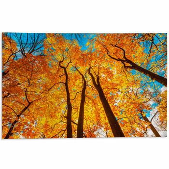 Autumn Rugs & Custom Size Floor Mats