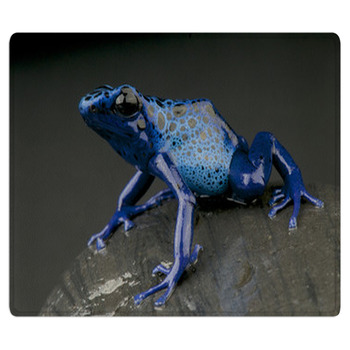 Azure Dartfrog / Dendrobates Azureus Bath Mat