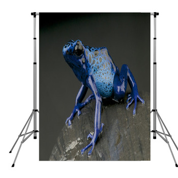 Azure Dartfrog / Dendrobates Pole Pocket Backdrop
