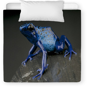 Azure Dartfrog / Dendrobates Azureus Toddler Comforter