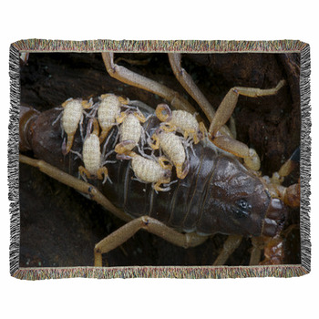 Baby Scorpions Woven Throw Blanket