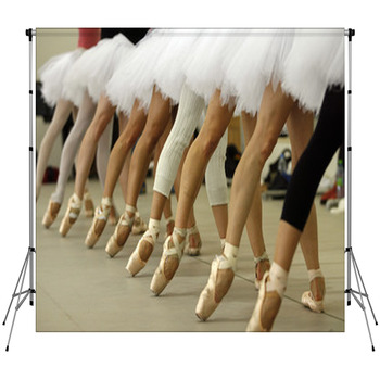 Bailarinas Fleece Backdrop