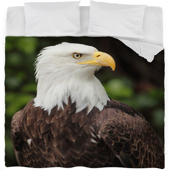 Bald Eagle Fleece Bed Blanket