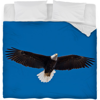 Bald Eagle Soars Overhead From The Fleece Bed Blanket