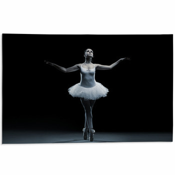 Ballet Dancer-action Area Rug