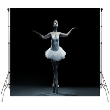 Ballet Dancer-action Fleece Backdrop