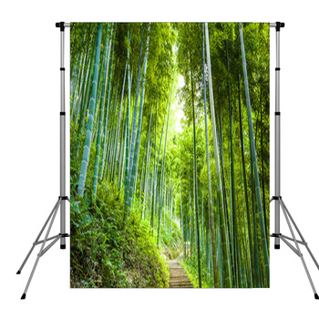 Bamboo Forest And Walkway Pole Pocket Backdrop