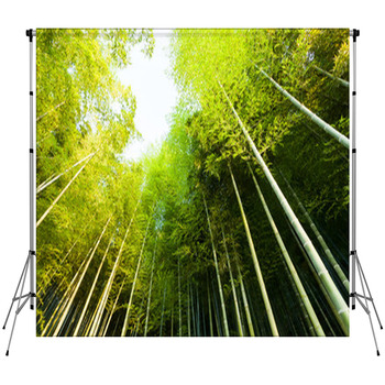 Bamboo Forest Fleece Backdrop