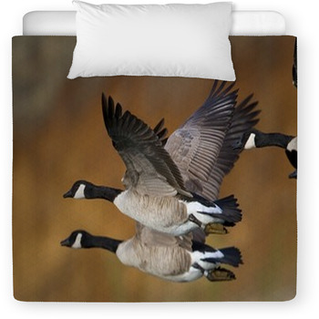 Banded Geese In Flight Toddler Duvet