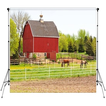 Barn And Horses Custom Size Backdrop