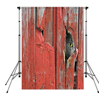 Barn Cat Pole Pocket Backdrop
