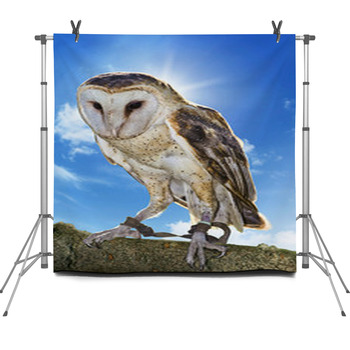 Barn Owl Fleece Backdrop