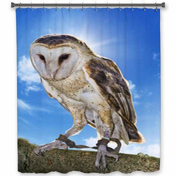 Barn Owl Shower Curtain