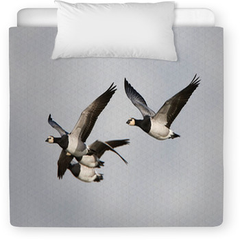Barnacle Goose (Branta Leucopsis) Toddler Duvet