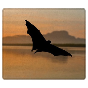 Bat Rugs