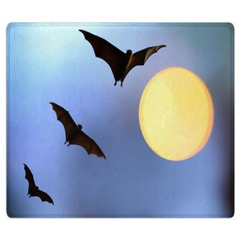 Bat Rugs & Custom Size Floor Mats