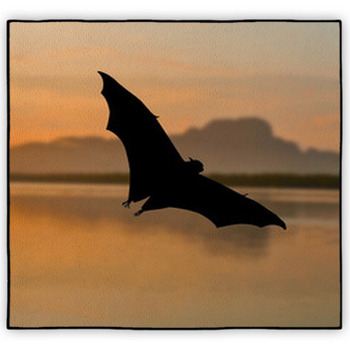 Bat Area Rugs & Custom Size Floor Mats