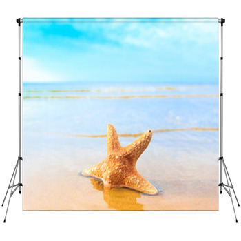 Beach Sea Fish Fleece Backdrop