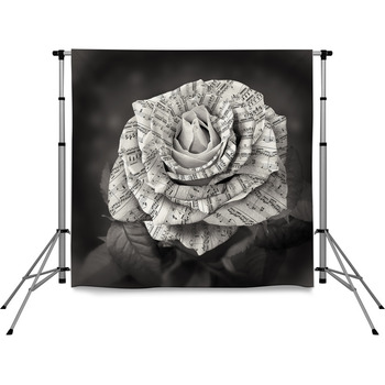 Beautiful Black And White Rose Pole Pocket Backdrop