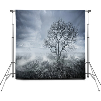 Beautiful Bleakness Custom Size Backdrop