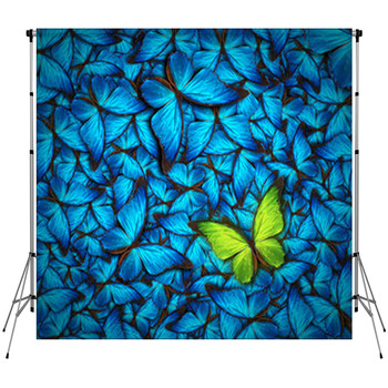 Beautiful Butterfly Background Custom Size Backdrop