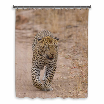 Beautiful Large Male Leopard Custom Size Shower Curtain