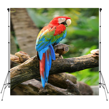 Beautiful Macaw Fleece Backdrop