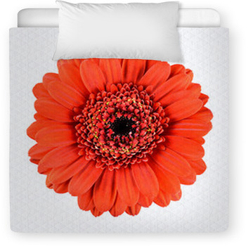 Beautiful Orange Gerbera Flower Toddler Comforter