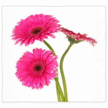 Beautiful Pink Gerbera Flowers Custom Size Floor Mat