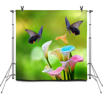 Beautiful Pink Waterlily Or Lotus Fleece Backdrop