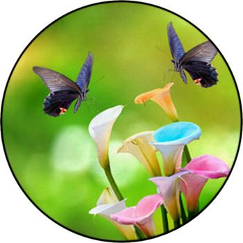 Beautiful Pink Waterlily Or Lotus Flower In Round Rug