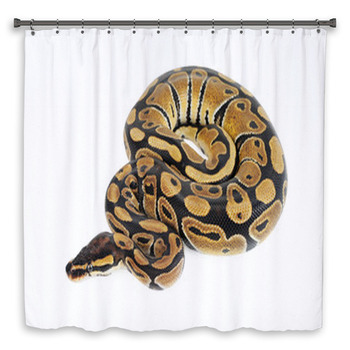 Beautiful Python Shower Curtain
