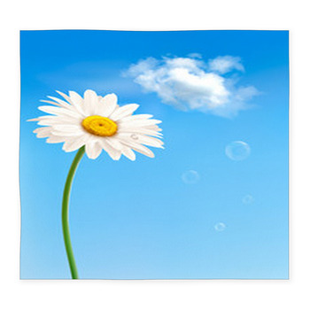 Beautiful White Daisy In Front Of Custom Size Floor Mat