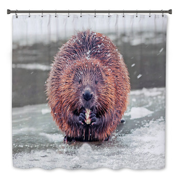 Beaver Bath Decor
