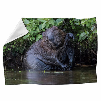 Beaver blanket deals
