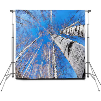 Birchwood Custom Size Backdrop
