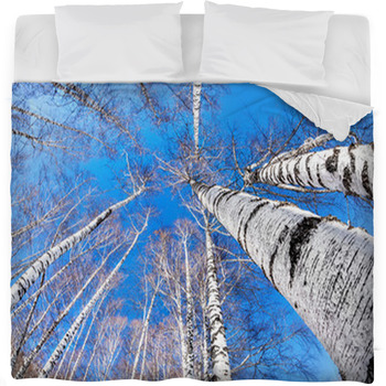 Birchwood Fleece Bed Blanket