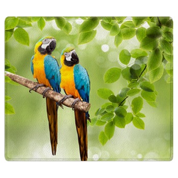 Bird Rugs
