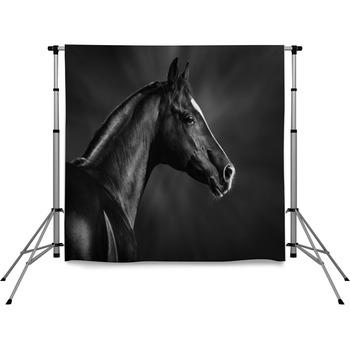 Black And White Portrait Of Pole Pocket Backdrop