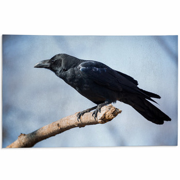Black Crow Area Rug
