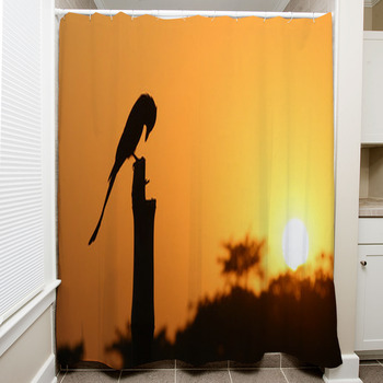 Black Drongo At Sunset Shower Curtain