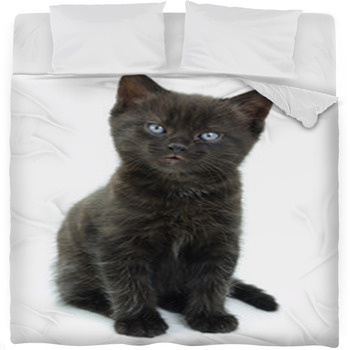 Black Kitten Fleece Bed Blanket